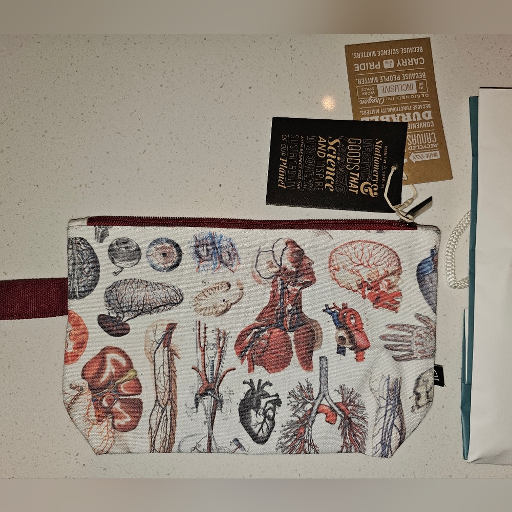 Cognitive Surplus Anatomy/Body System Pouch